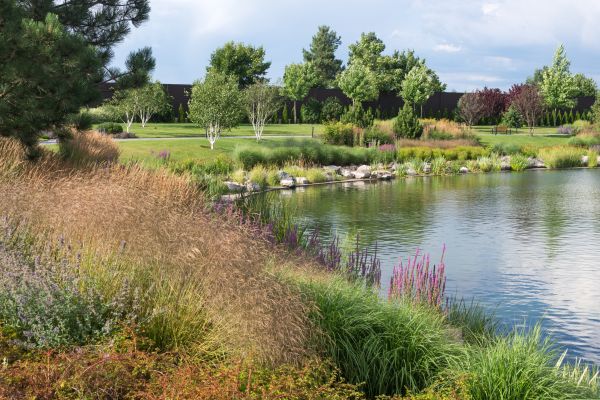Pond Installation