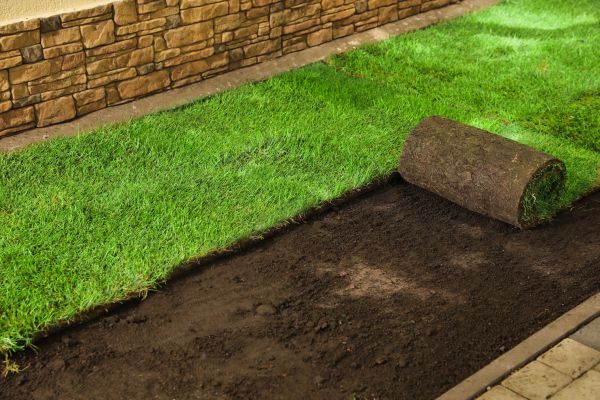 Lawn Resurfacing