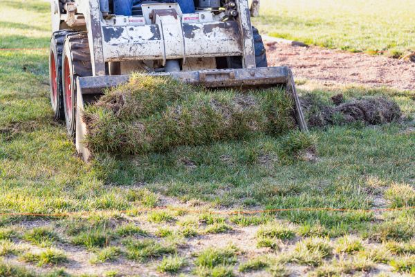 Landscape Leveling