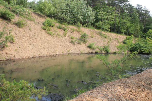 Pond Erosion Repair in Merrillville