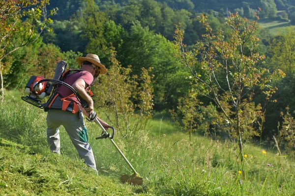 Cost of Slope Trimming in Merrillville